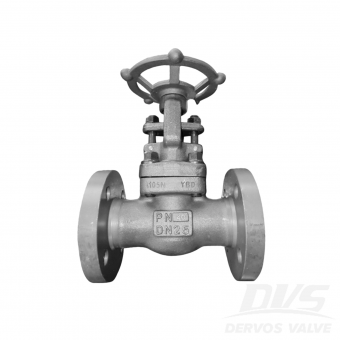DN25 PN40 Forged Steel Gate Valve