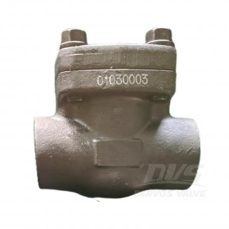 Swing Check Valve