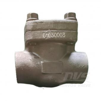 Swing Check Valve