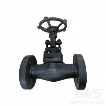 Forged Steel Globe Valve