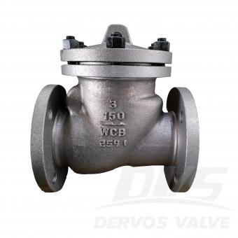 Swing Check Valve