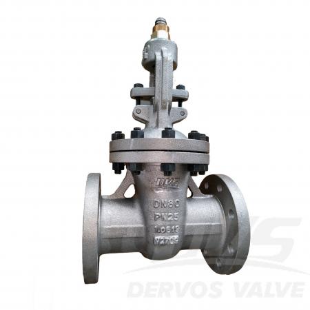 Cast Steel Gate Valve