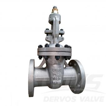 Cast Steel Gate Valve
