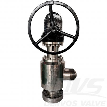 Angle Globe Valve