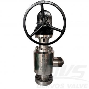 Angle Globe Valve