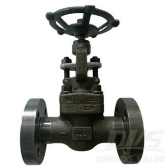 DN15 PN160 Forged Steel Flange Globe Valve F5 BS 5352