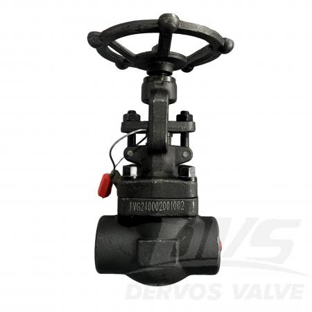 Forged Steel Globe Valve