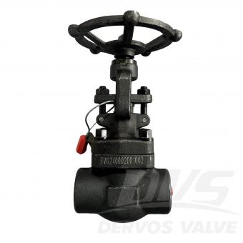 Forged Steel Globe Valve