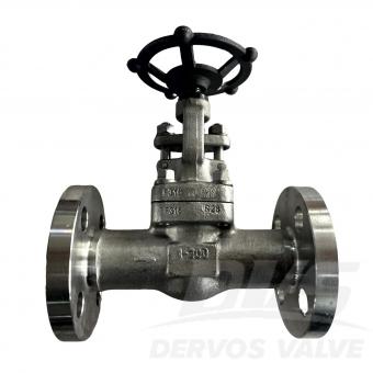 API602 Stainless Steel Globe Valve