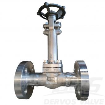 DN25 PN64 Forged Steel Globe Valve F321 Hand Wheel