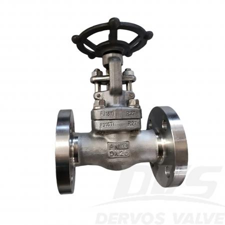 API 602 DN25 PN40 Stainless Steel Gate Valve F316Ti EN1092-1 B1