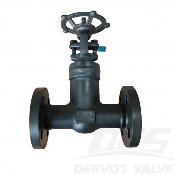 1 300LB Forged Steel Bellows Globe Valve LF2 RF API602