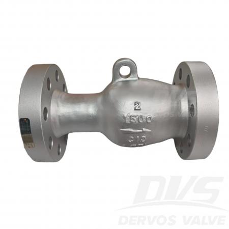 Axial Flow Check Valve 2