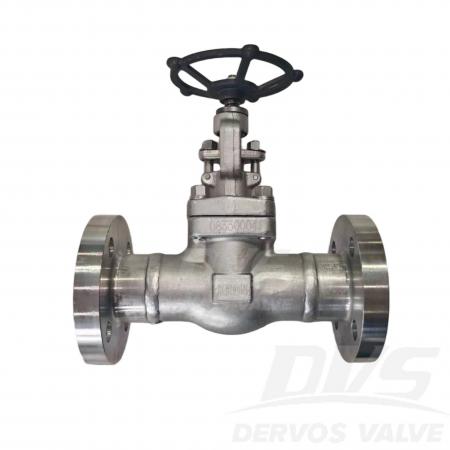 Straight Flange Globe Valve DN40 PN160 F304 BS 5352