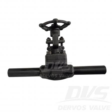 Forged Steel Gate Valve 3/4