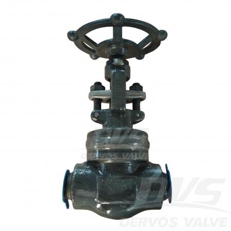 Forged Steel Globe Valve 3/4