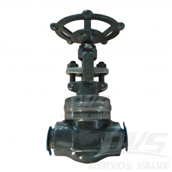 Forged Steel Globe Valve 3/4 1500LB F11 API 602