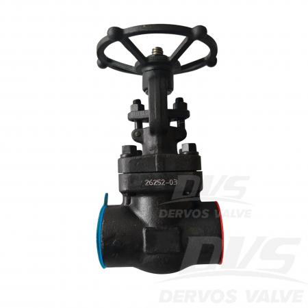 Forged Steel Gate Valve 2