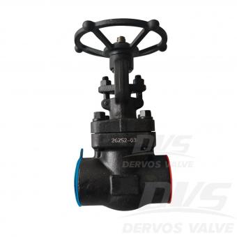 Forged Steel Gate Valve 2 800LB A105N SW API 602