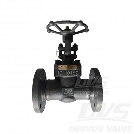 Forged Steel Flange Globe Valve DN25 PN40 F316 RF