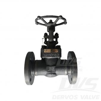 Forged Steel Flange Globe Valve DN25 PN40 F316 RF