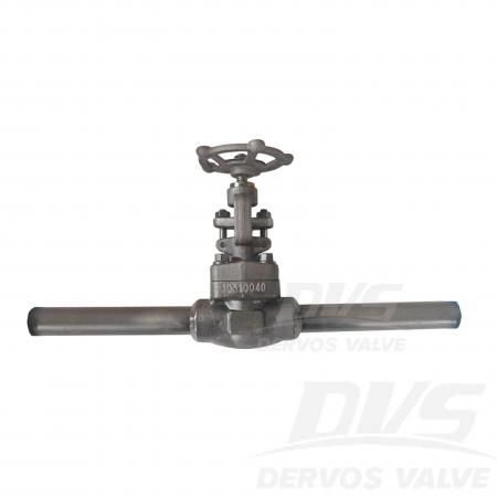 Forged Steel Globe Valve 3/4