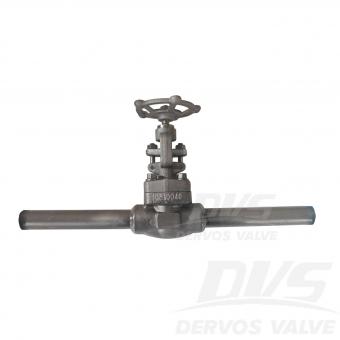 Forged Steel Globe Valve 3/4 800LB A105N API 602