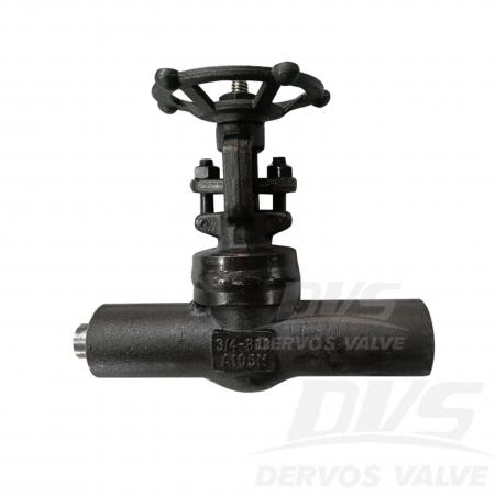 Forged Steel Gate Valve 3/4