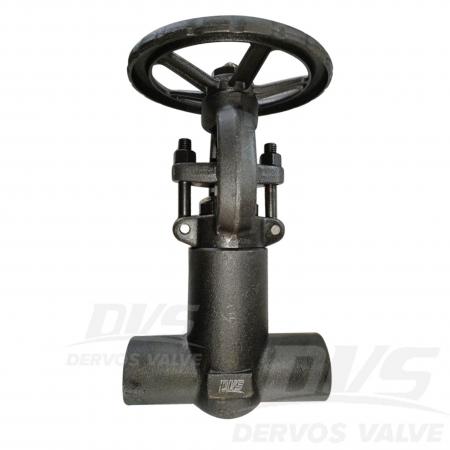 Pressure Seal Gate Valve 1/2