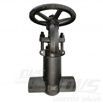 Pressure Seal Gate Valve 1/2 1500LB A105N FNPT