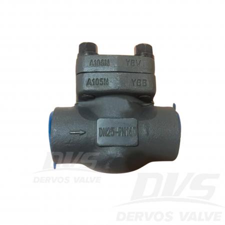 Lift Check Valve DN25 PN160 A105N API60