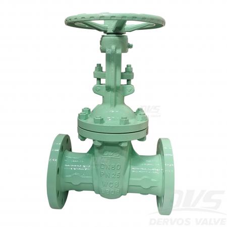 Cast Steel Gate Valve DN80 DN25 WCB RF