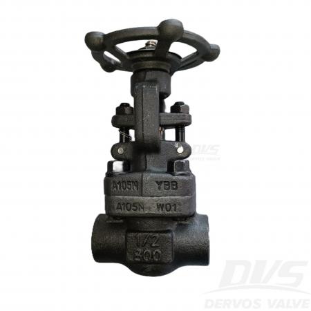 Forged Steel Gate Valve 1/2