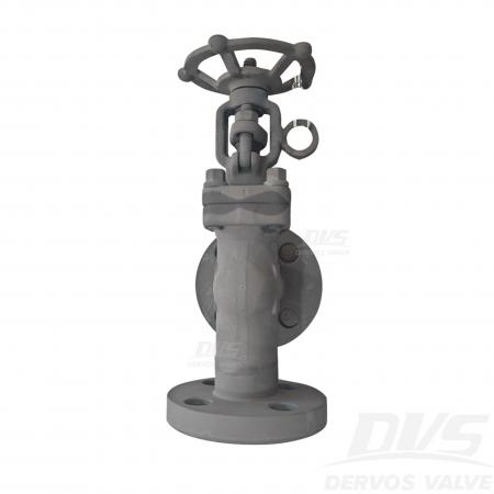 Continuous Blowdown Globe Valve 1