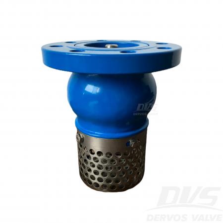Stainless Steel Foot Valve 2'' Class150 Flanged end