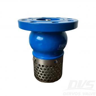 Stainless Steel Foot Valve 2'' Class150 Flanged end