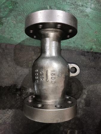 Axial Flow Check Valve