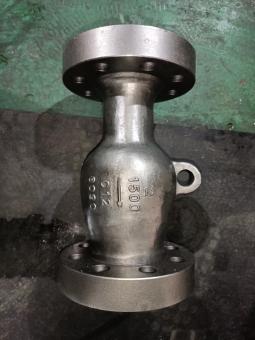Axial Flow Check Valve