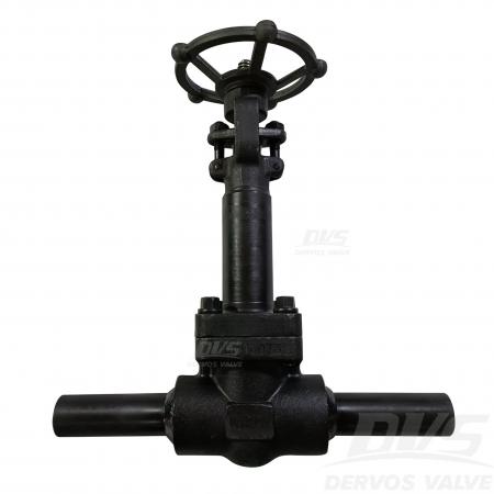 Forged Steel Gate Valve 1
