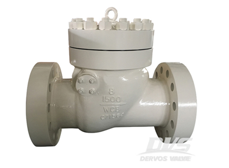 Check Valve