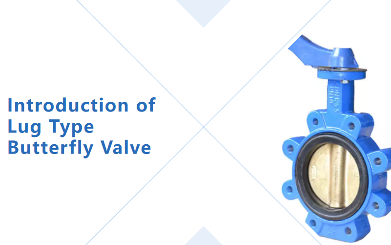 Introduction of lug type butterfly valve