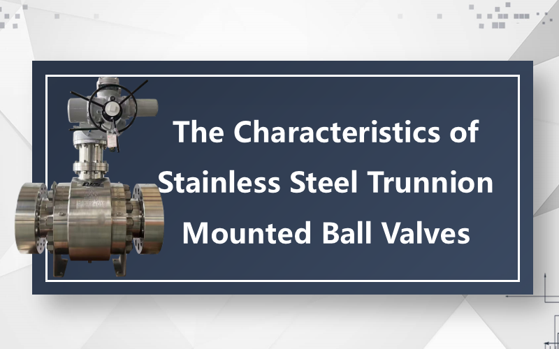 The Characteristics of Stainless Steel Trunnion Mounted Ball Valves
