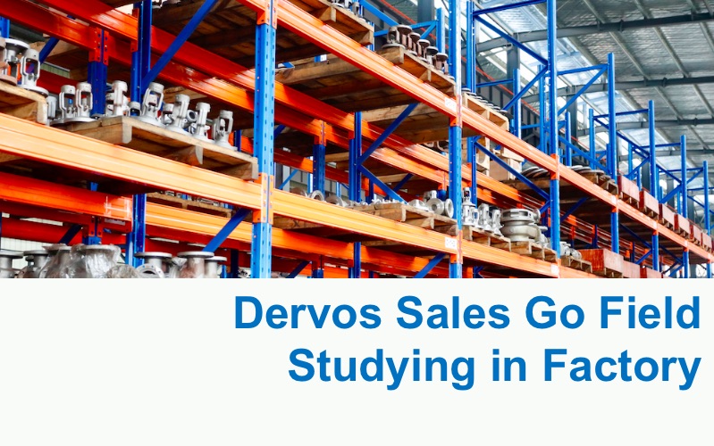 Dervos Sales Go Field Studying in Factory