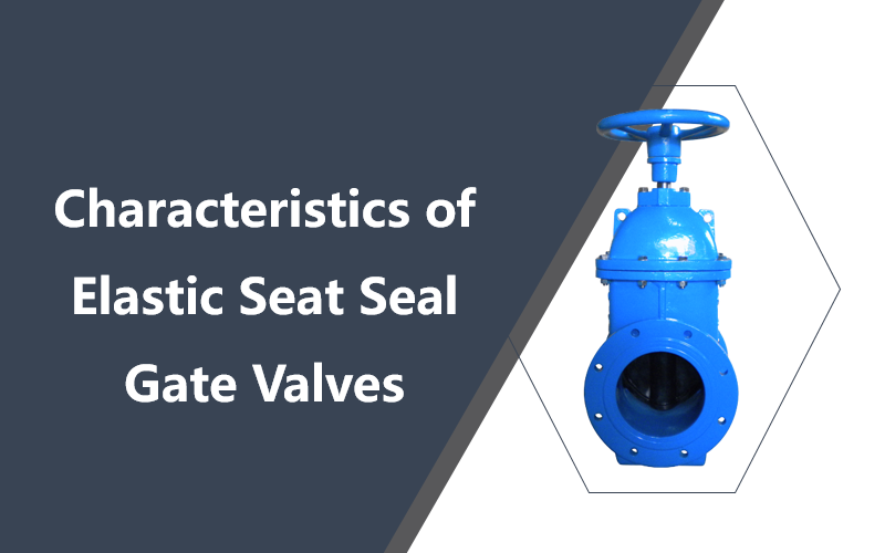 Characteristics of Elastic Seat Seal Gate Valves