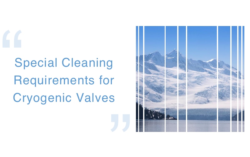 Special Cleaning Requirements for Cryogenic Valves