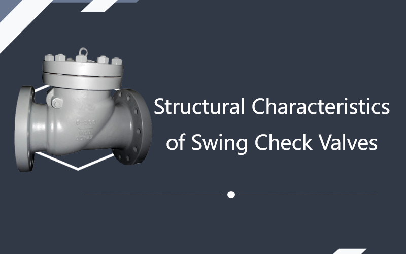 Structural Characteristics of Swing Check Valves