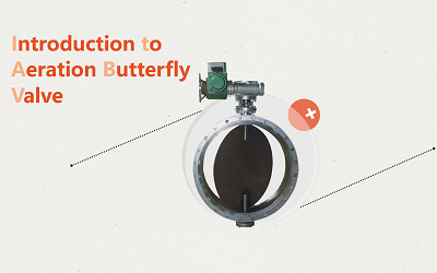 Introduction to Aeration Butterfly Valve