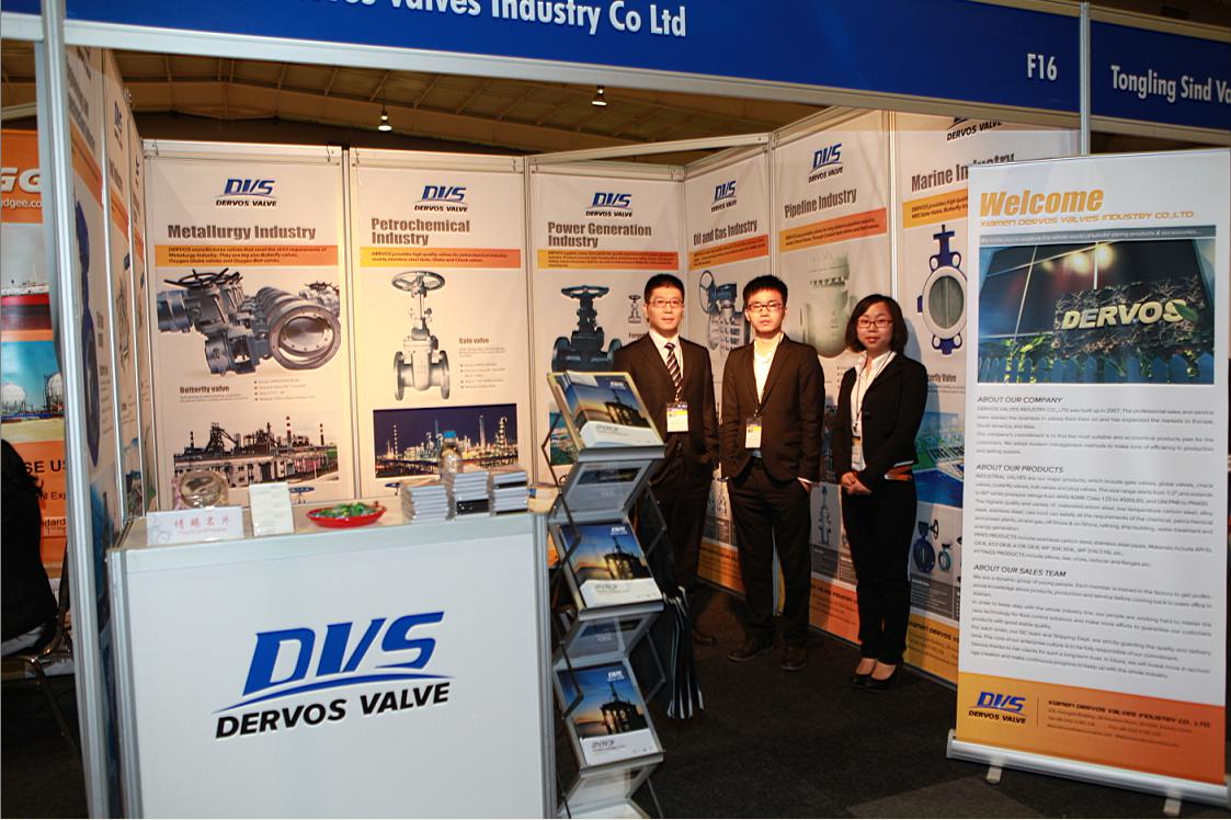Pumps, Valves & Pipes Africa 2013