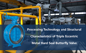 Processing Technology and Structural Characteristics of Triple Eccentric Metal Hard Seal Butterfly Valve