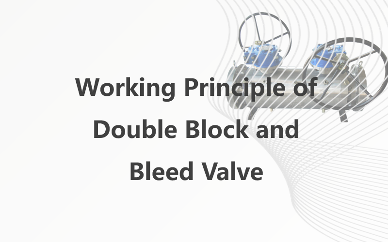 Working Principle of Double Block and Bleed Valve